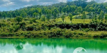 Chính chủ cần ra lô đất nằm cạnh đồi chè Tâm Châu, rừng thông, hồ tảo hồng