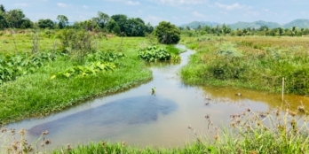 Cần bán mảnh đất và Ngôi nhà tâm huyết tại thị trấn diện tích 4000m2