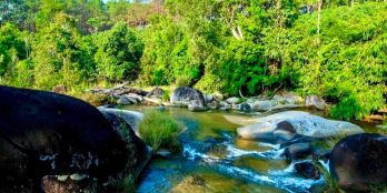 Đất dọc ven suối Lũng Chuối BLộc, thích hợp đầu tư du lịch, sổ sẵn 980tr