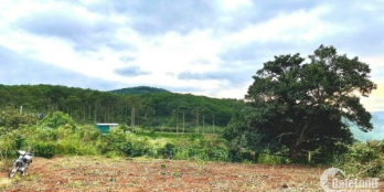 Bán gấp lô đất mặt tiền View Săn Mây, Điện Gió giá 18 tỷ 500, tại Xuân Thọ – TP