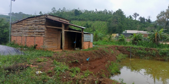 Cách ql14 chỉ 500m, view thông, hồ, suối, pháp lí rõ ràng,