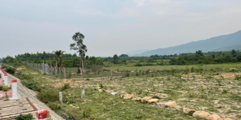 BÁN ĐẤT RẪY TẠI DŨNG LỖ CHÀI - 11.000m2 giá chỉ 2 tỷ - Bds Phú Yên #36