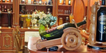 Nhà triệu đô CMT8, 9.6 x 27m, Biệt thự phong cách lâu đài, Nội thất cao cấp