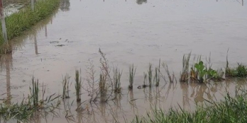 Đất vườn 560m2 đường trải đá, sổ riêng,  Nhuận Đức, CC