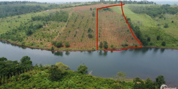 Ôm hơn 150m mặt hồ lớn,cách ql 3km, ôm 2 đường bê tông, đường đi trên sổ.