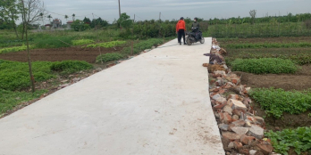 Bán dãy phân lô F0 tại QUyết Tiến Đồ Sơn 70m2 chưa đến 900tr