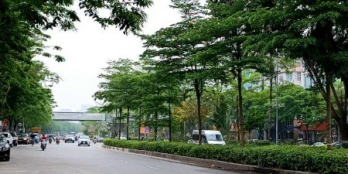 BÁN LÔ ĐẤT ĐẸP PHỐ ĐAO TẤN PHÙ HỢP XÂY TÒA NHÀ VP 96 m2 20 tỷ