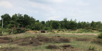 3 lô thổ vườn liền kề 1 xẹt Hùng Vương Phú Đông đường bê tông 6m giá đầu tư