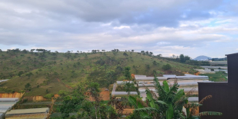 Bán đất View Đẹp, Thích hợp đầu tư Homestay, gần trung tâm  TP Đà Lạt