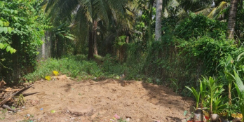 NỀN THỔ CƯ PHÚ TÂN GẦN CHỢ TÚ ĐIỀN