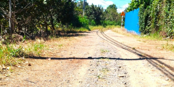 Bán vườn trái cây thập cẩm, mặt tiền 28m, đường thông, sổ hồng riêng.