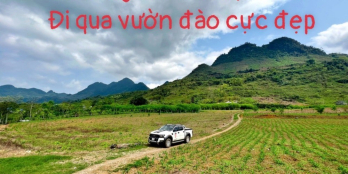 Bán nhanh trong tuần siêu phẩm nghỉ dưỡng giá rẻ tại Cao Sơn - Đà Bắc