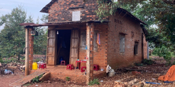 Chính chủ cần bán hơn 2ha đất đỏ rẫy trồng full sầu riêng và bơ đang mùa ăn bói