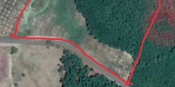 BÁN ĐẤT VƯỜN NINH TÂN - ĐƯỜNG RỘNG 10M - ĐẤT ĐÃ CÓ SẴN CÂY ĂN QUẢ