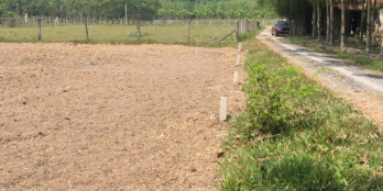 Đất full thổ cư, 5x30, Gò Dầu, Tây Ninh, Dường ô tô đi