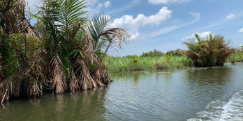 1632m2 đất CLN xã Phú Đông , 2 mặt tiền rạch lớn , thích hợp làm nhà vườn