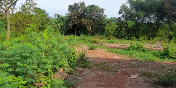 Bán 3200 m2 đất xã cây gáo thích hợp làm trang trại