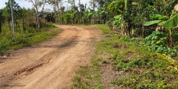 Bán đất vườn chuối 3000 mét xã cây gáo