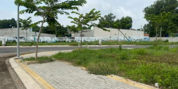 Bán lô góc 2 mặt tiền giá rẻ, sổ hồng riêng. Thổ cư 100%