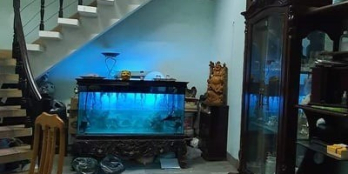 BÁN NHÀ PHỐ ĐỘI NHÂN- MẶT NGÕ TO NHƯ PHỐ- VỈA HÈ 2 BÊN- KINH DOANH – 74M2-11.8 T