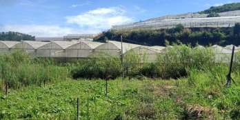 CẦN BÁN ĐẤT NĂM CỐNG PHƯờNG 5, ĐÀ LẠT.