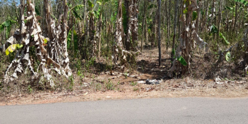 Bán đất mặt tiền đường  nhựa sông trầu 17