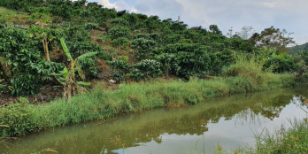 1.5 tỷ sở hữu đất nền biệt sẵn sổ, full thổ cư, tặng kèm 1 cây vàng.