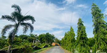 Mở bán dự án Phú Thành Hiệp trung tâm thị trấn Bến Lức.