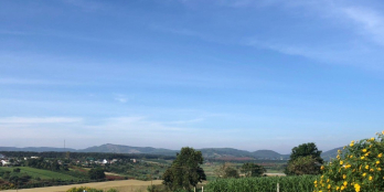 Bán đất Suối Thông B – xã Đạ Ròn – huyện Đơn Dương – Lâm Đồng