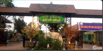 Lô đất gần KDL Đảo Yến Sơn Hà, Cách TTHC Huyện Đội 500m Chỉ 999tr, SHR