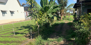 Bán Đất Phú Hội 1,3 Tỷ 5x57m DT 250m2 Thổ Cư 100m Phú Hội - Đức Trọng - Lâm Đồng