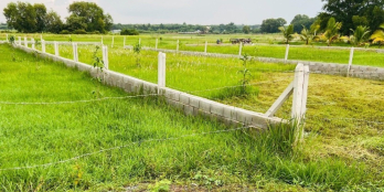 Bán đất 566m2 giá  2tỷ 050, Nguyễn Thị Rành đường nhà nước 12m2,SHR