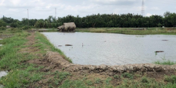 MT đường Liên Cảng Phú Hữu DT: 1703m2 thích hợp làm kho xưởng giá chỉ 2ty650