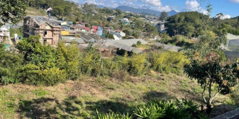 Bán đất NN trị giá 13tr/m tại Tp Đà Lạt, P5 có view đẹp cực kỳ mua ngay giá tốt