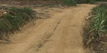 CHỈ 350 TRIỆU SỞ HƯU NGAY LÔ ĐẤT VƯỜN TẠI DIÊN ĐỒNG 1.000M2