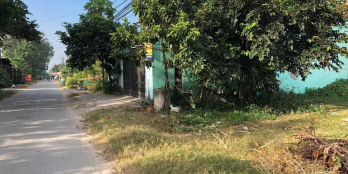 Bán đất vườn 800m2 đường Nguyễn Thị Ngâu, Thới Tam Tôn, Hóc Môn, giá 2 tỷ 350 tr