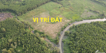 Bán lô đất 11,581m2 đất, giáp 2 mặt sông rạch, gần KDL Bò Cạp Vàng, Nhơn Trạch