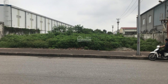 Cho thuê đất trống dựng kho, xưởng 1.200m2, 4.000m2, 5.000m2, tại Long Biên, HN