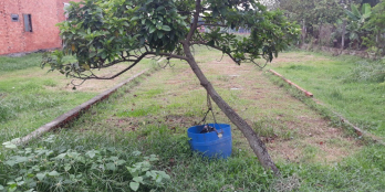 Bán Gấp 190m2 đất thổ cư, Ấp Mới 1, Gần Chợ Mỹ Hạnh Nam, Đức Hòa, Long An