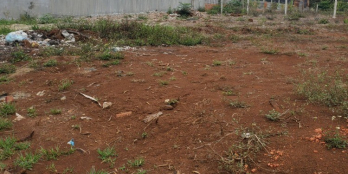 Cần Bán Lô đất hẻm Mậu Thân sau chợ đầu mối Phường TÂN HÒA - BTM