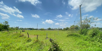 Bán lô đất 7*20m ngay trục Trần Phú, Điện Bàn, sẵn sổ hồng, giá sốc. L0935450871