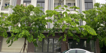 Mua về ở bán có lời Bellhomes Vsip Bắc Ninh