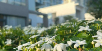 Chủ muốn bán bớt căn hộ nghỉ dưỡng 2pn 2wc ,91m2 ,sát biển view biển cực kì mát