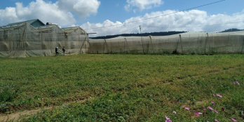 Bán gấp 117m2 đất thị trấn Thạnh Mỹ giá chỉ 720tr