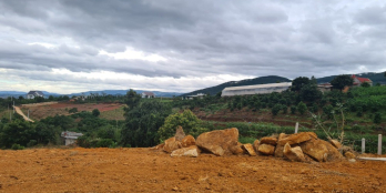 BÁN GẤP 728m2, có sẵn 200m thổ cư, Thích hợp làm FARM tại Đông Thanh - Lâm Hà