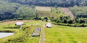 85.876m2 đất vườn view suối lớn, đầu tư bài bản về vườn, cần bán gấp