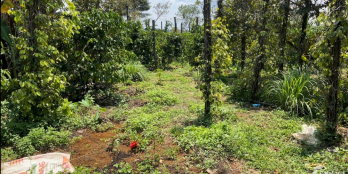 23,690m2 xã Đắk Sin, Đak R'Lấp, nguồn thu mạnh, gần hồ, giá chưa qua đầu tư