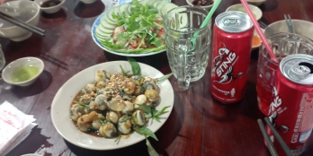 Đất Thuận Phú - Đồng Phú 1,6 hec giá 112 nghìn /m2