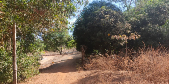 Đất 2mt đường vào bãi tắm biển Sông Lô Bình Châu