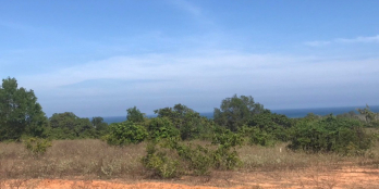 Đất CLN view Biển cực đẹp - Có đường trên sổ - Cách trục đường lớn 100m